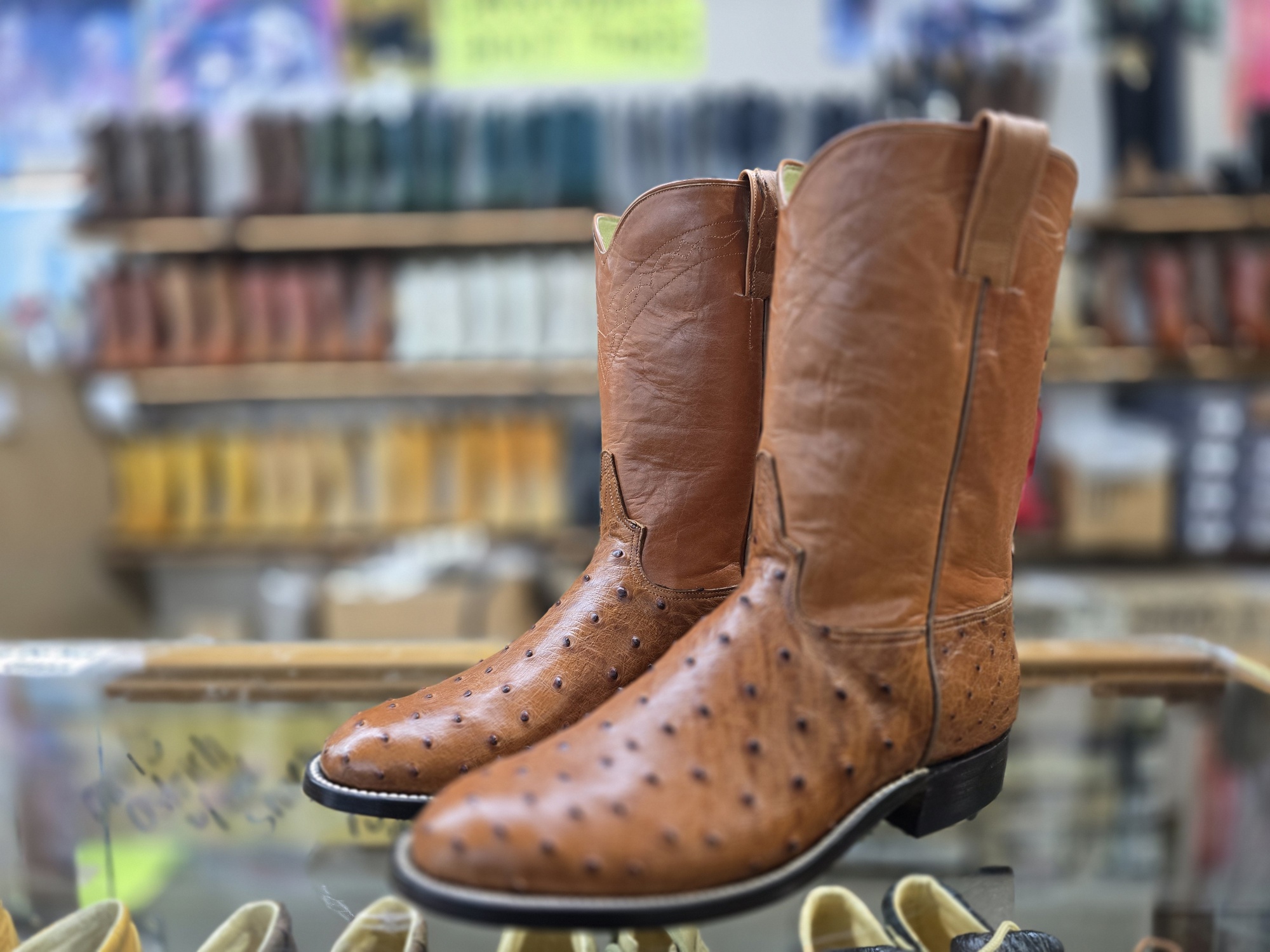 20251016_170421_resized (1)