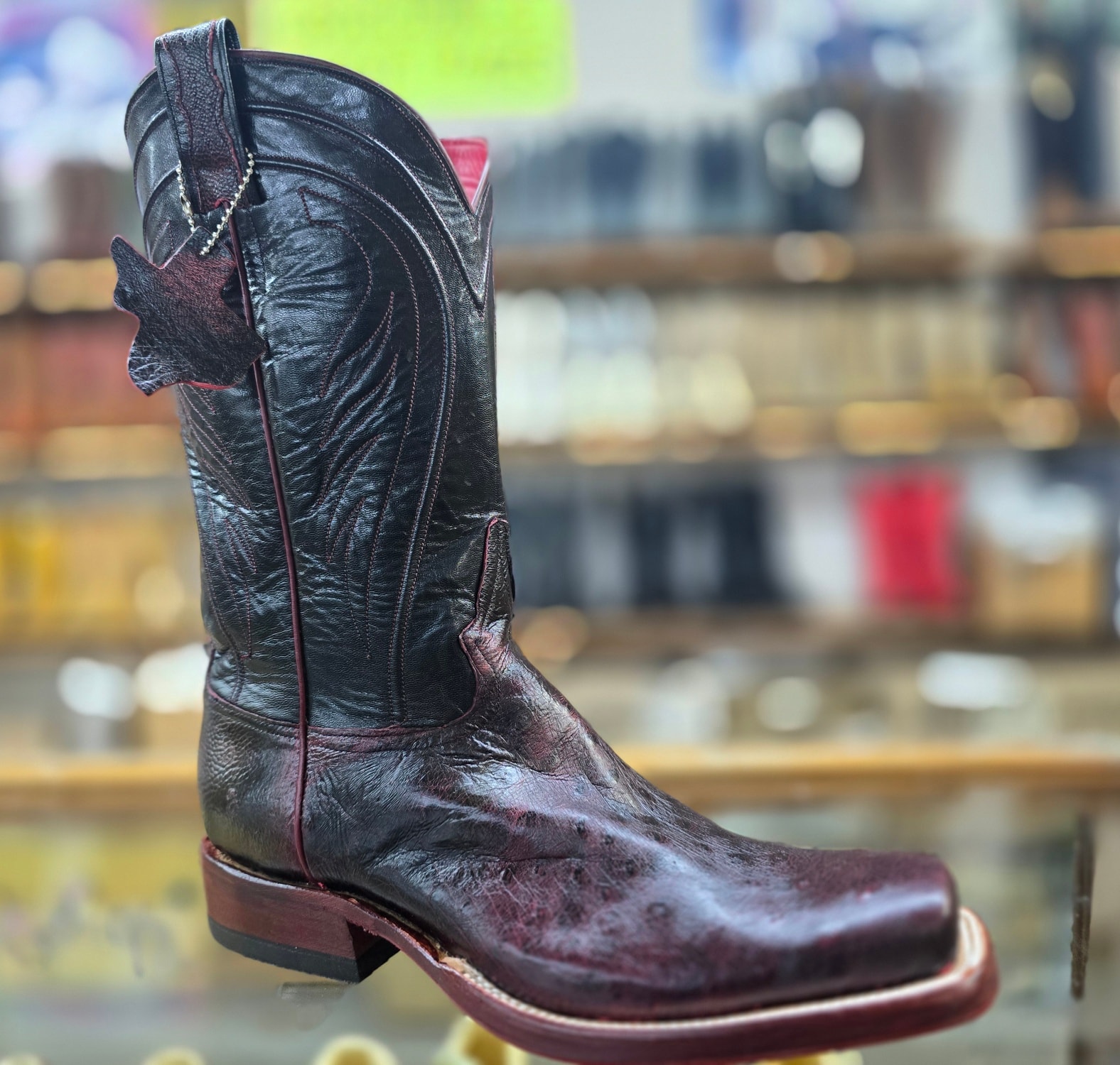 549705242_122100094053071231_6921890378713321521_n