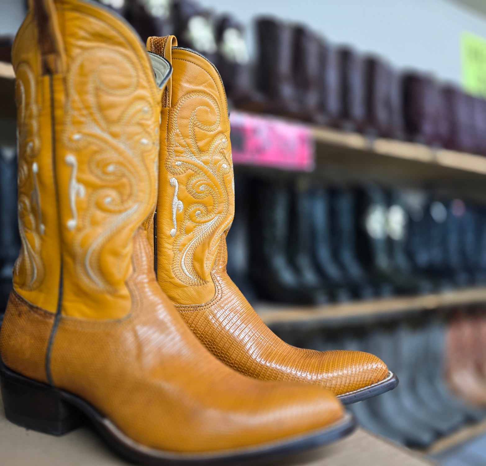 558124638_122093330193071231_361336157889481493_n